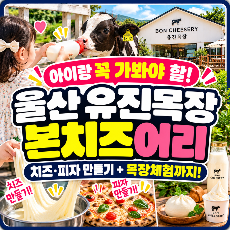 “송아지 우유도 직접 준다고?” 울산 유진목장 본치즈어리 아이랑 체험