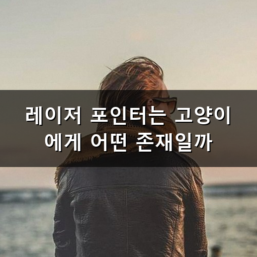 고양이 레이저 포인터 왜 사냥 놀이에 쓸 때 조심해야 할까