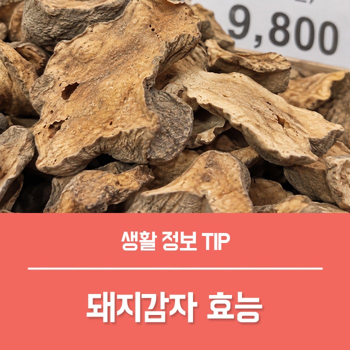 돼지감자 효능 부작용, 돼지감자차 식후에 찾는 이유?