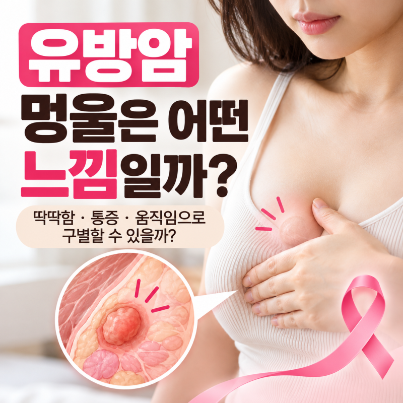 유방암일까? 유방에서 멍울이 잡혀요! 딱딱함·통증·움직임으로 구별할 수 있을까?