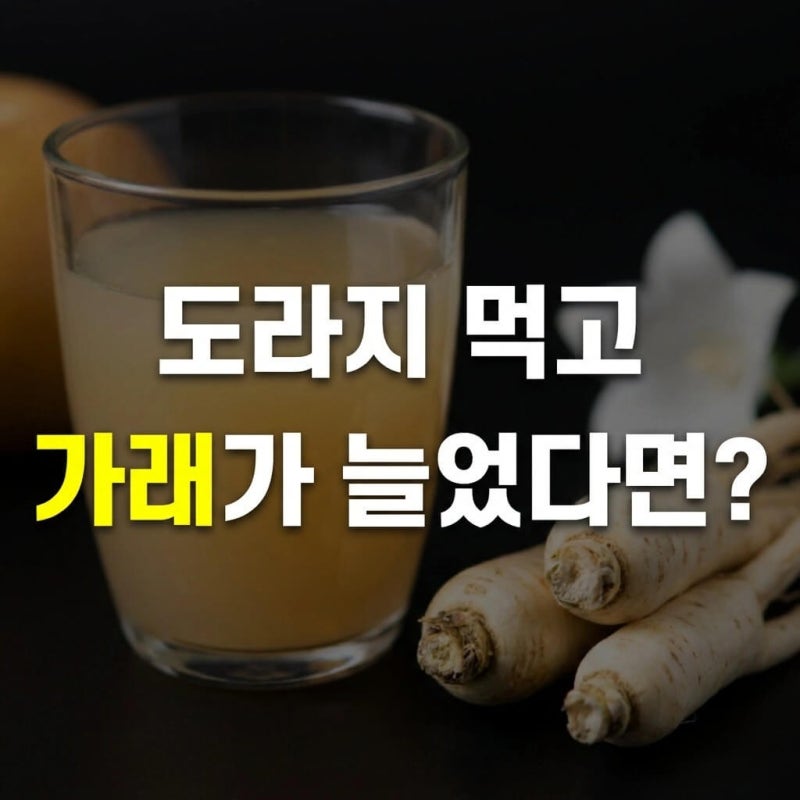 도라지 가래, 배도라지즙 마시고 더 늘었다면? 가래 색깔부터 확인하세요.