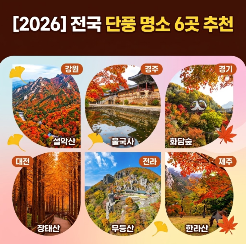[2026] 전국 단풍 명소 TOP 6 절정 시기 & 예약·주차 꿀팁 총정리