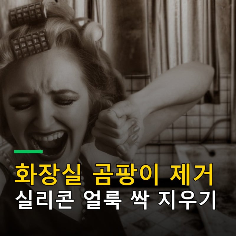 화장실 곰팡이 제거, 타일 실리콘 까만 얼룩 지우는 법