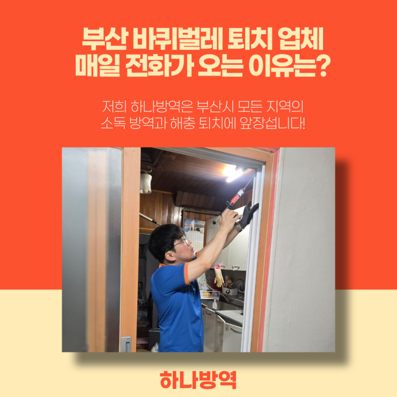 부산 바퀴벌레 퇴치 업체 매일 전화가 오는 이유는?