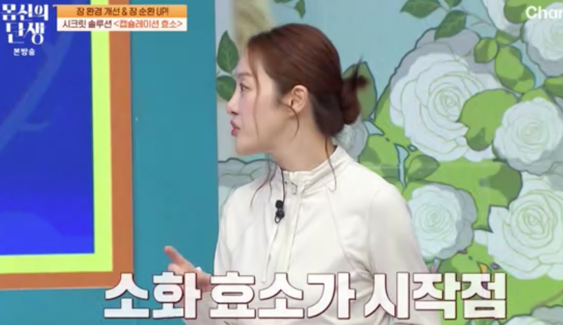 몸신의탄생 캡슐레이션효소 제품 정보 가격 파는곳 +복용후기