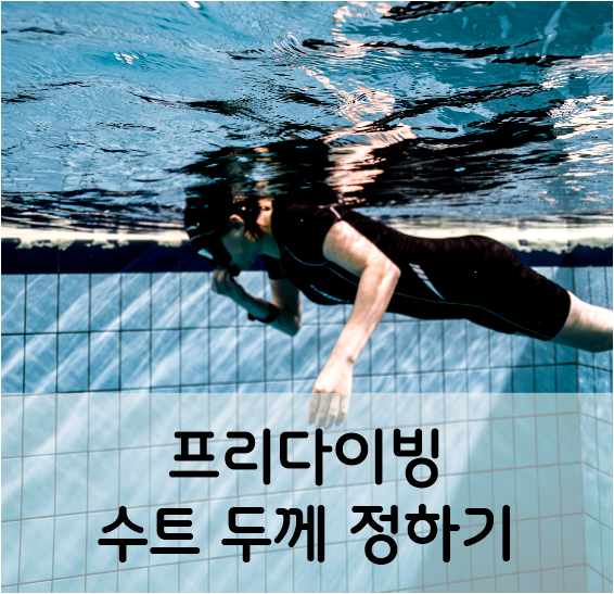 프리다이빙 수트 두께 수온별 정리