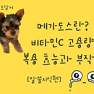 메가도스란? 비타민C 고용량 복용 효능과 부작용 위험성 총정리