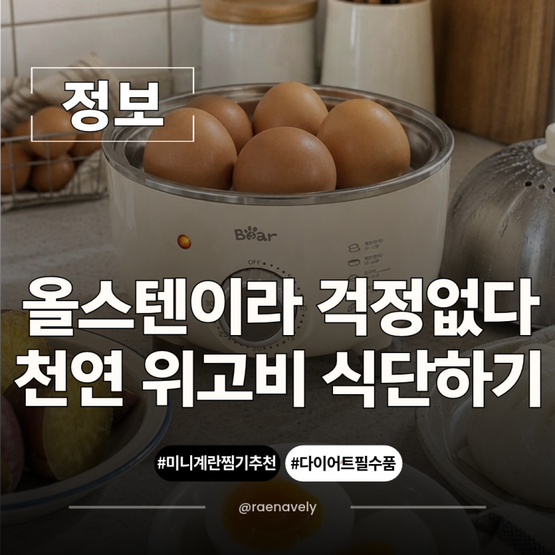 Bear 베어 올스텐 미니 계란찜기 추천 타이머로 편하게, 아침마다 계란 삶기 귀찮은 분들 주목