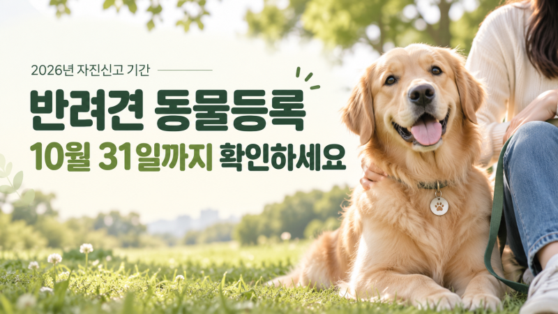 강아지 동물등록 안 했다면? 11월 집중단속 전 대상·방법 확인하세요