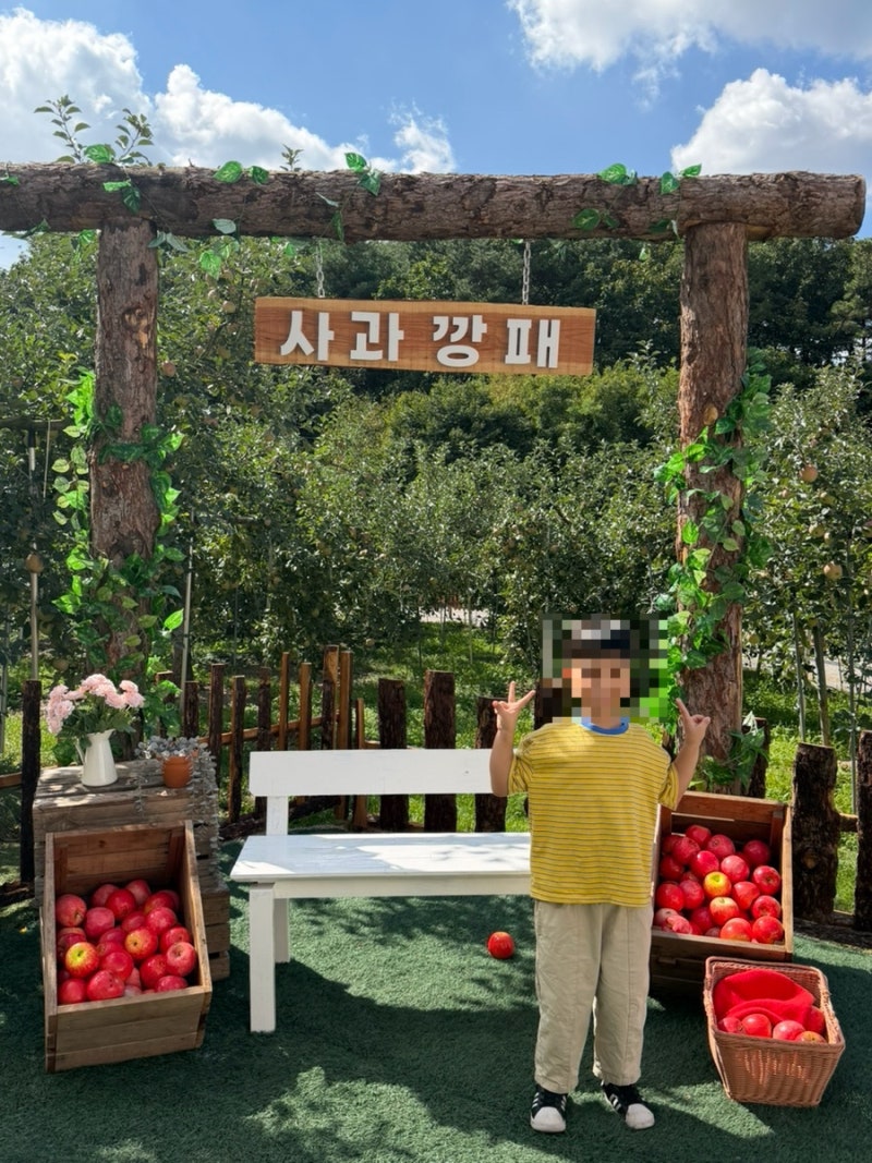 포천 사과깡패 (아이랑 주말농장체험 추천 먹거리 주차)