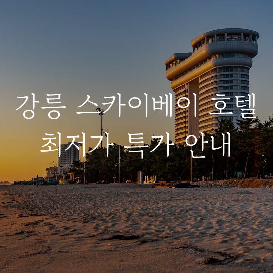 강릉 스카이베이호텔 조식 뷔페수영장 사우나 최저가 특가
