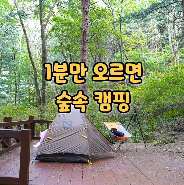 청태산자연휴양림 야영장 캠핑 명당 추천 및 예약 방법