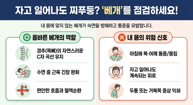 올바른 수면 환경 조성을 위한 베개 선택과 교체 주기