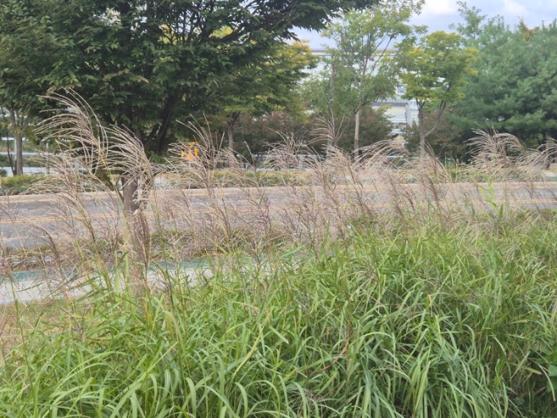 이재무 시 5편ㅣ 기도 ㅣ 빗소리 ㅣ비 울음 ㅣ너무 큰 슬픔 ㅣ 사과 택배