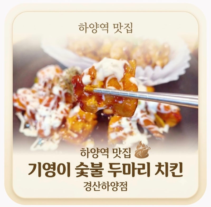 하양역 맛집 기영이숯불두마리치킨 경산하양점