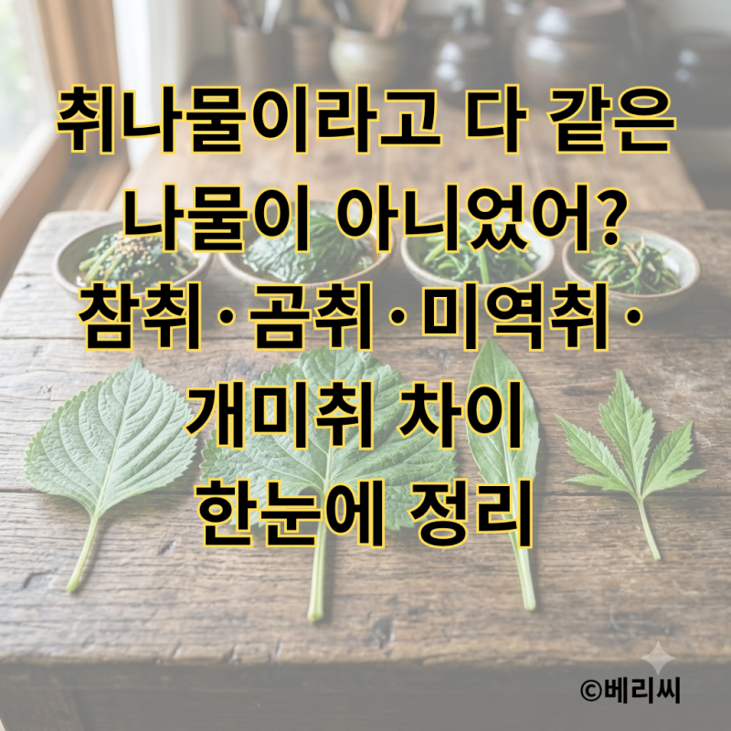 취나물이라고 다 같은 나물이 아니었어?｜참취·곰취·미역취·개미취 차이 한눈에 정리