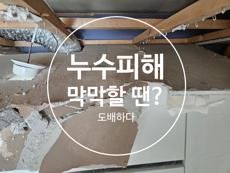 물이 샌 곳만 도배하면 끝일까요?정촌 대경파미르 누수도배, 천장 석고보드까지 교체한 현장....