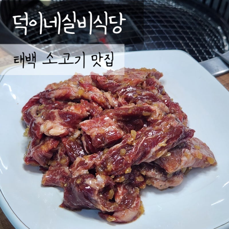 태백 황지동맛집 덕이네실비식당 방문 후기 태백소고기맛집 주차정보
