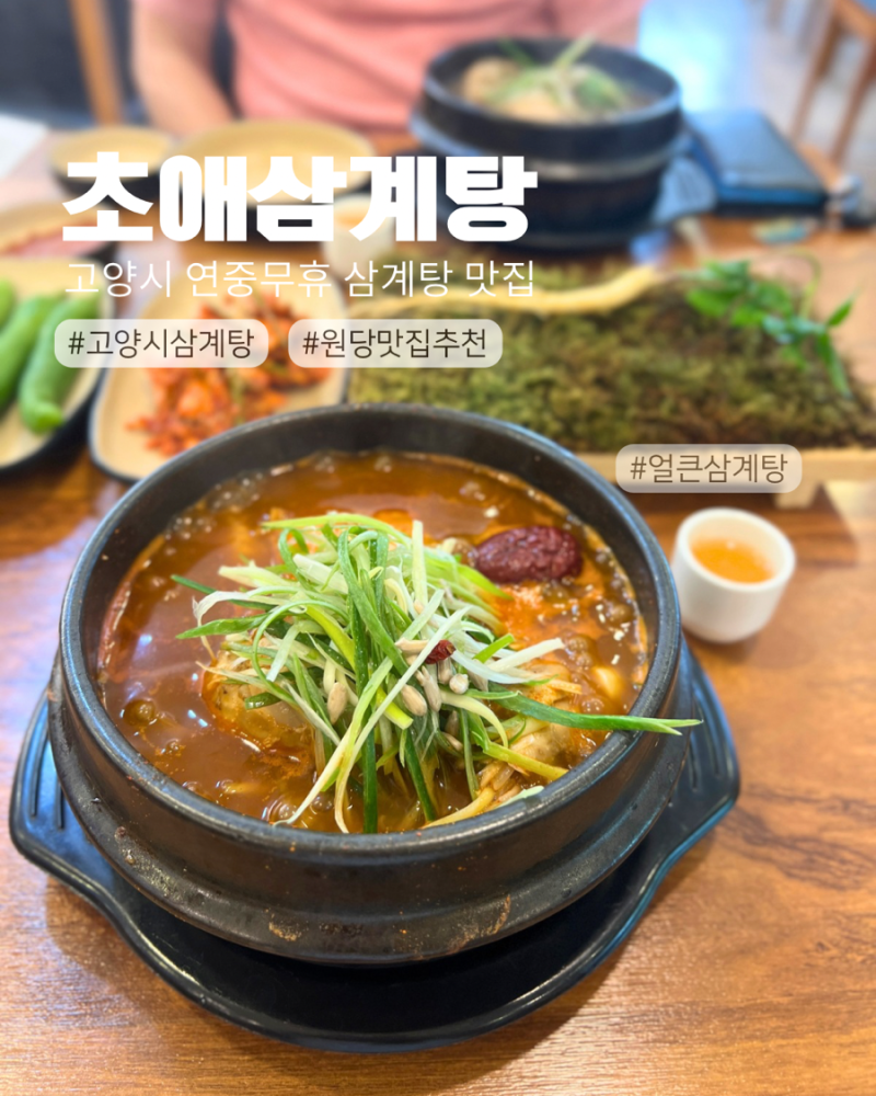 원당맛집 초애삼계탕, 산삼배양근더덕튀김까지 맛있었던 일산삼계탕