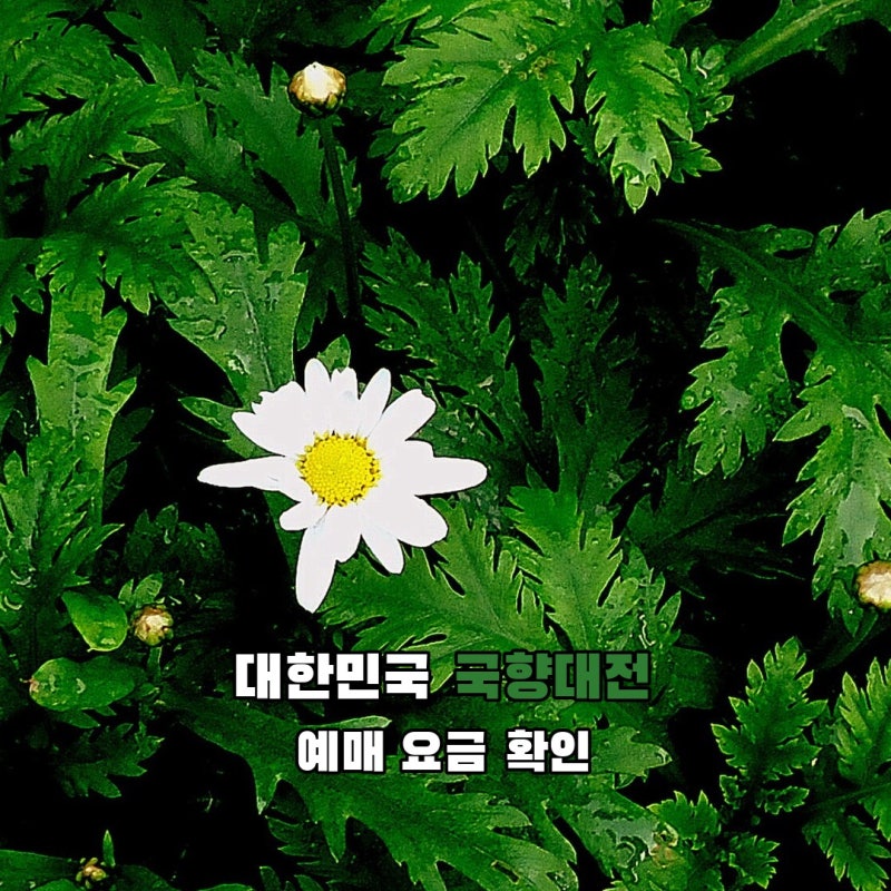 대한민국 국향대전 2026, 사전 예매하면 입장료 얼마일까?