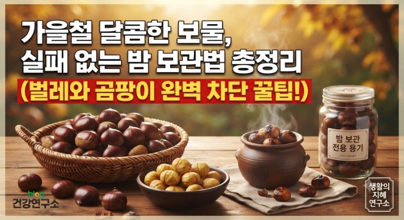 밤 보관법 가을철 달콤한 보물, 실패 없는 밤 보관법 총정리 (벌레와 곰팡이 완벽 차단 꿀팁)