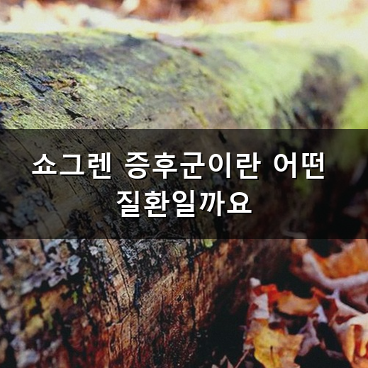 입안이 바짝 타들어 가는 이유 쇼그렌 증후군 원인과 관리