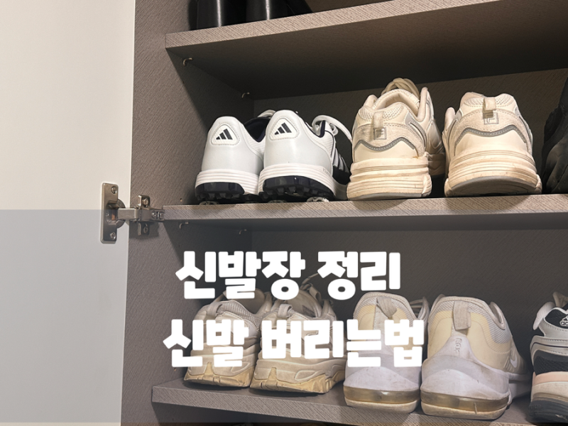 신발장 정리 신발 버리는법 의류 수거함 배출 기준과 좁은 현관 정리 꿀팁
