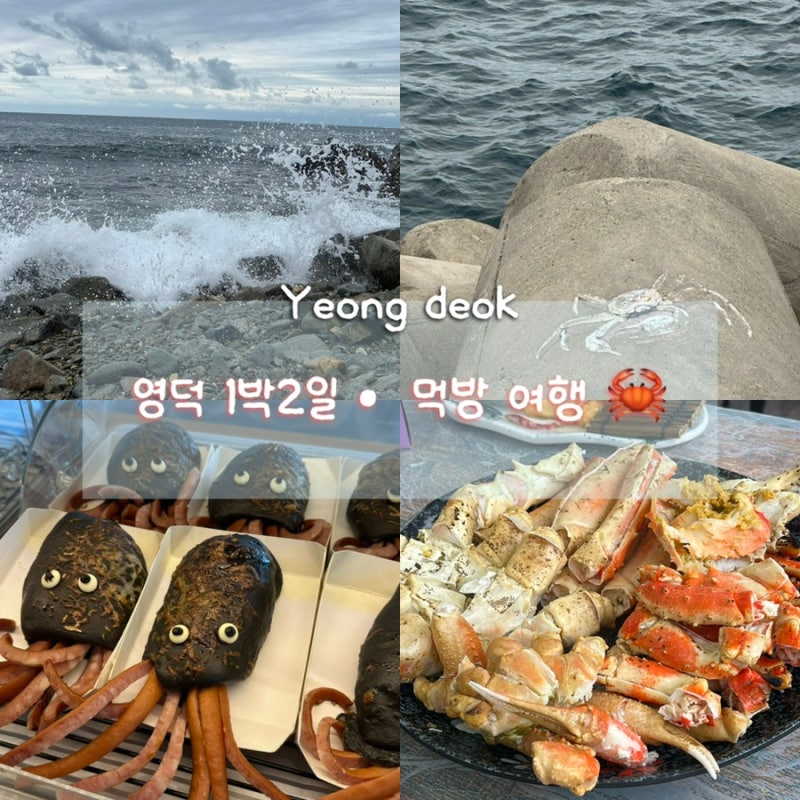 [여행] 영덕 1박2일 (남은대게, 보움 카페, 나비산식당,미주구리찌개, 영덕 대게 거리, 대게 맛....