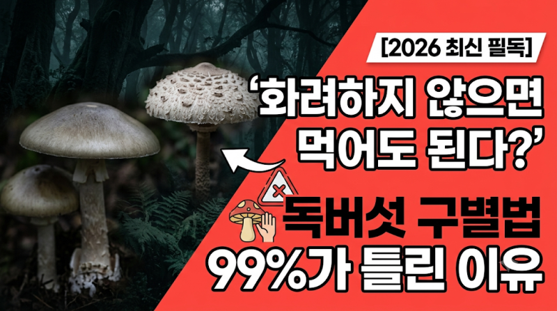 독버섯 구별법 믿으면 안 되는 이유, 야생버섯 먹기 전 꼭 알아야 할 주의사항