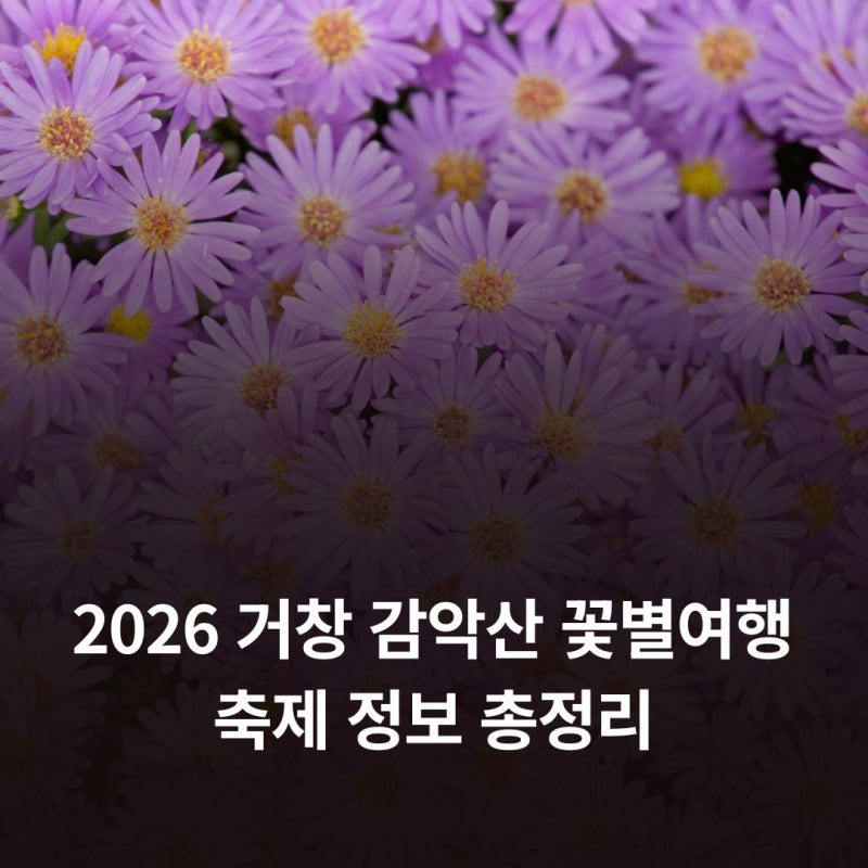 2026 거창 감악산 축제 일정 꽃별여행 축제 사전예약 티켓 주차장 셔틀버스 정보
