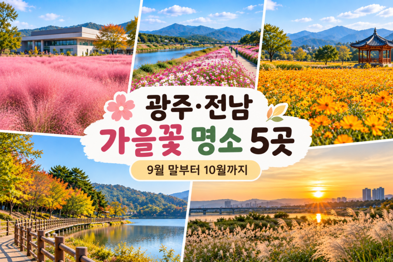 아이들과 가기 좋은광주·전남 가을꽃 명소 5곳 주차정보까지