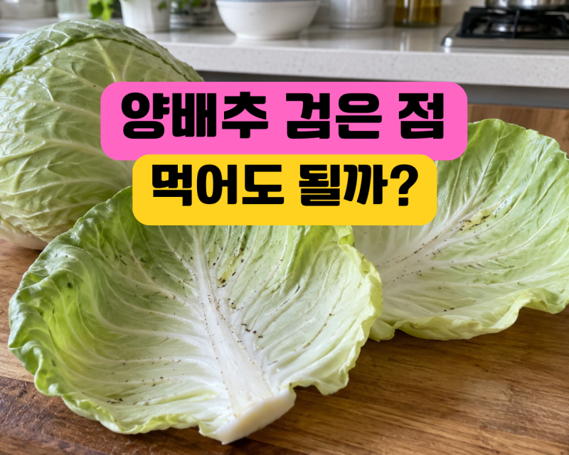 양배추에 검은 점이 생겼는데 먹어도 될까? 곰팡이와 구별하는 법