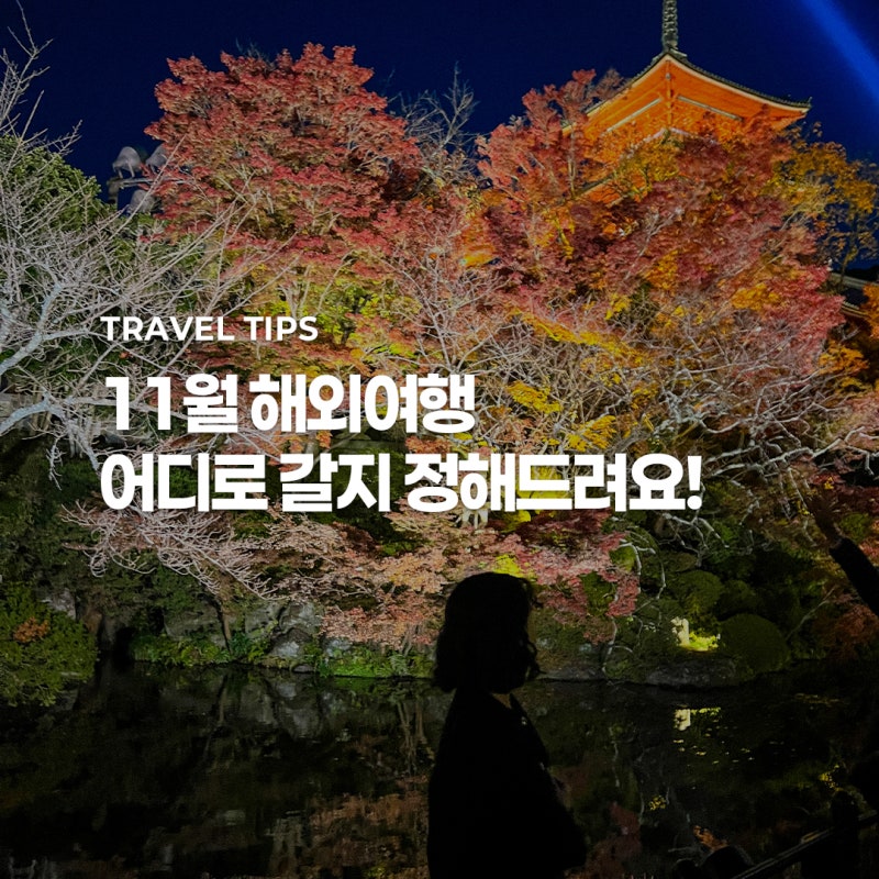 11월 해외여행지 추천 5곳 | 동남아 여행지 골라가세요!