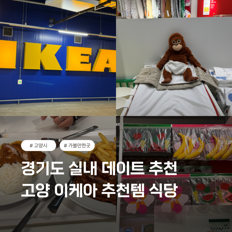 Gyeonggi Indoor Date Ideas: Recommended Items at Goyang IKEA, Places to Visit in Goyang