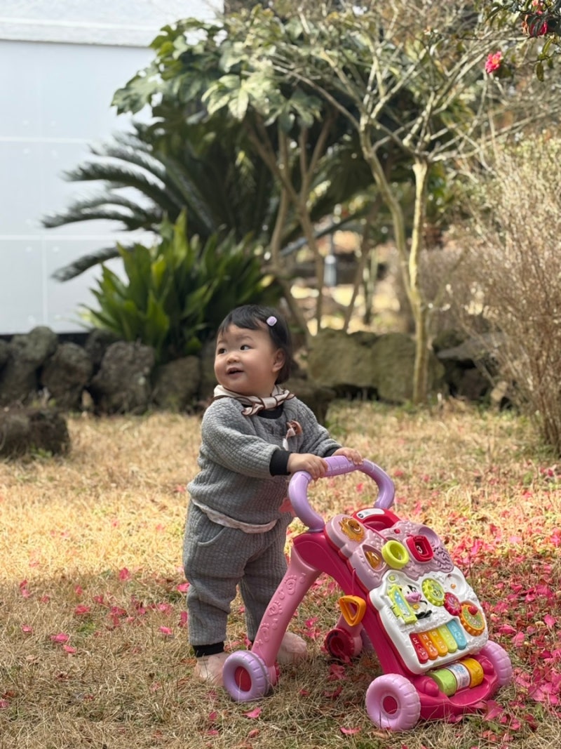 12개월 아기랑 제주 한달살기 준비물과 꼭 필요했던 리스트, 숙소