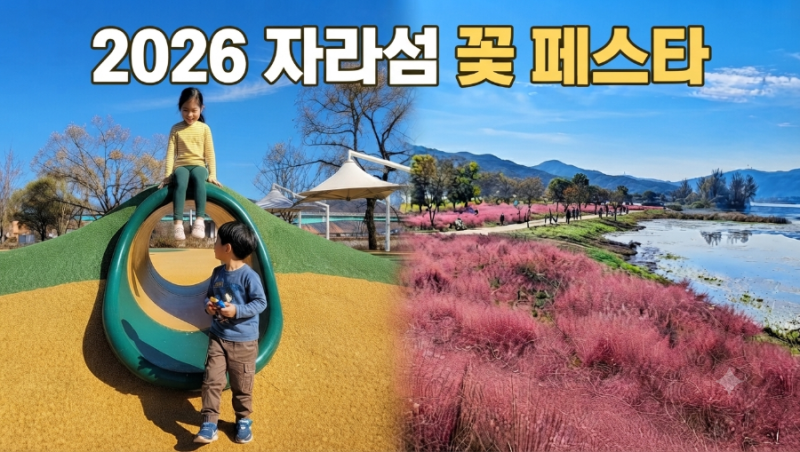[가평 아이랑 가볼만한곳] 2026 자라섬 꽃 페스타 가이드! 무료 혜택 총정리