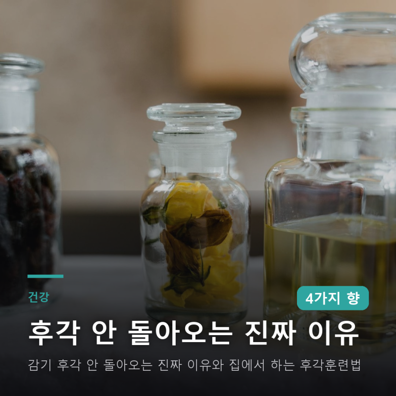 감기 후각 안 돌아오는 진짜 이유와 집에서 하는 후각훈련법
