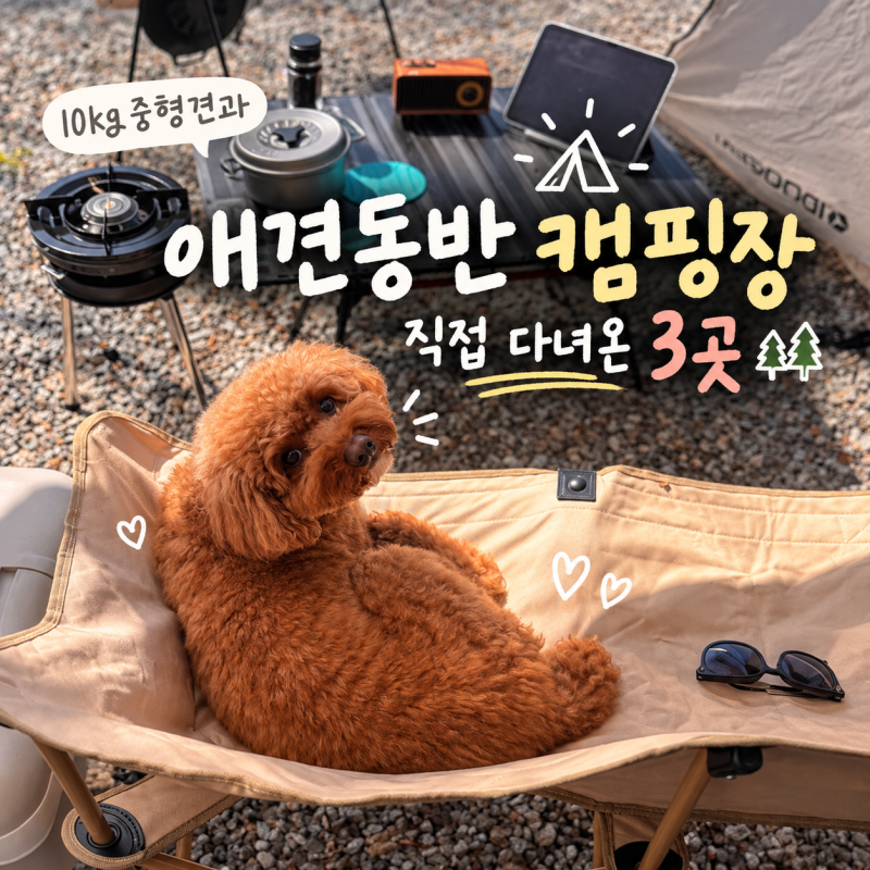 서울근교 애견동반 캠핑장 추천｜10kg 중형견과 직접 가본 BEST 3