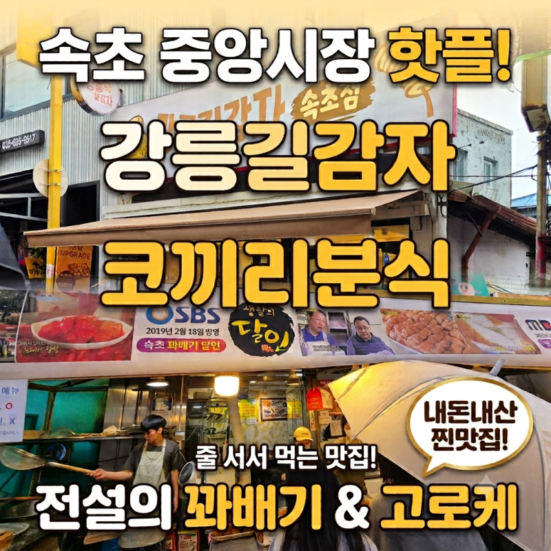 [속초 중앙시장 맛집] 줄 서서 먹는 두 곳! 오랜 단골 코끼리 분식 & 핫플 강릉 길감자 솔직 후....