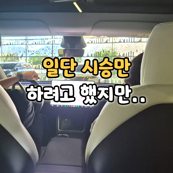 테슬라 모델 Y RWD 시승 후기(하남 스토어)