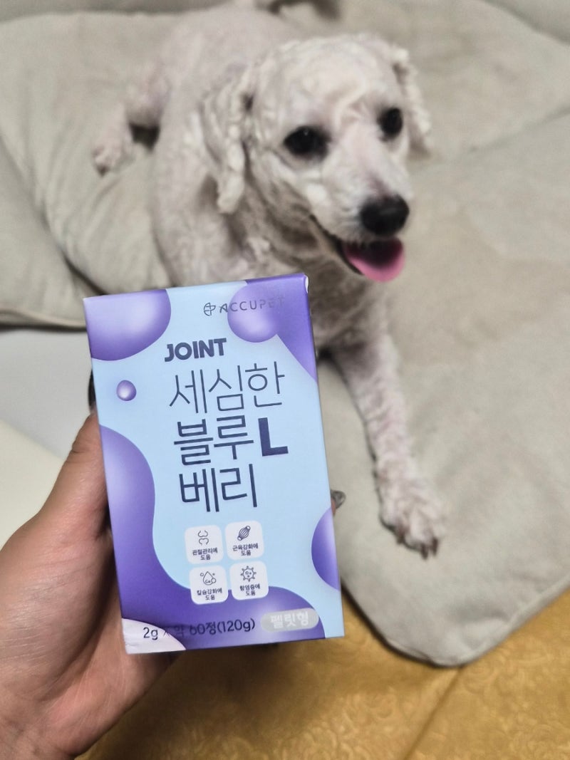 저자극 식물성 강아지콘드로이친 아큐펫 강아지관절영양제, 자반이의 훈련 간식으로도 최고....