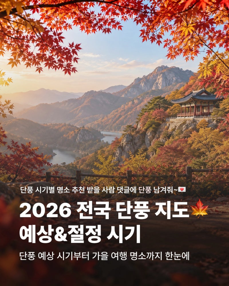 2026 단풍시기 전국 단풍지도｜설악산·내장산·팔공산 첫 단풍 절정시기·가을 단풍 명소·주....