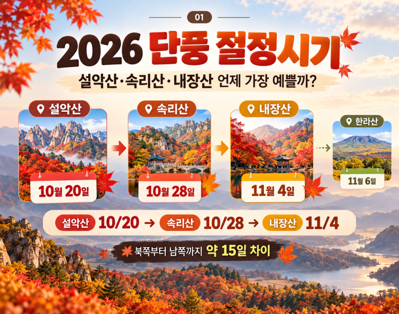 2026 단풍 절정시기｜설악산·속리산·내장산 언제 가장 예쁠까?
