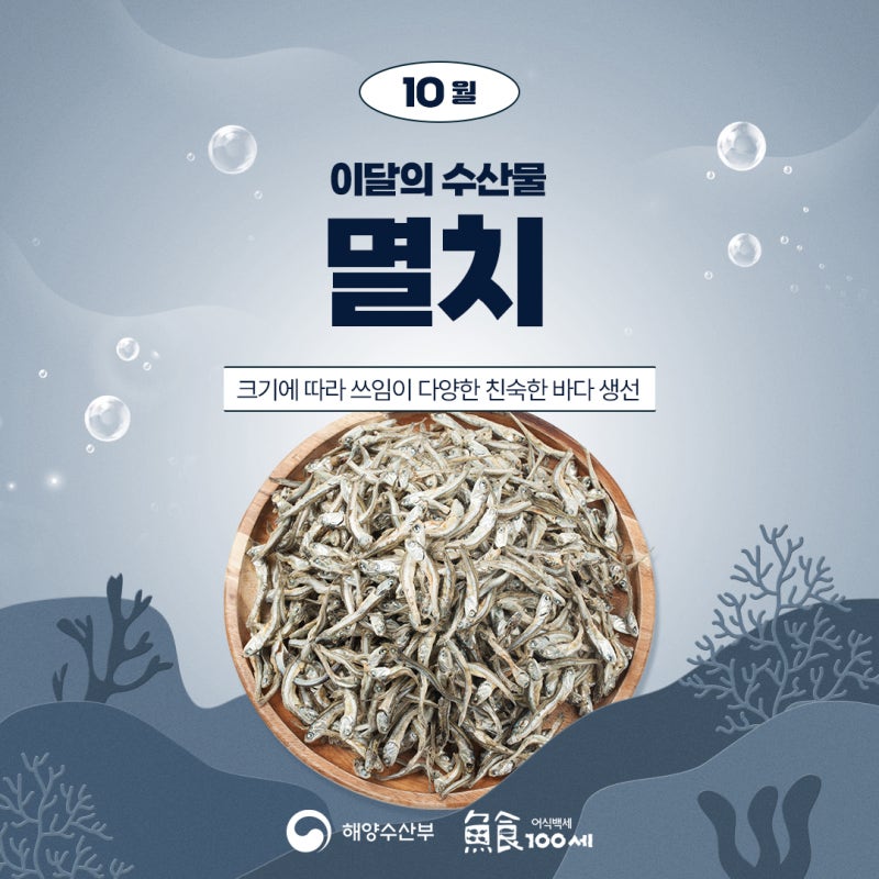 10월 이달의 수산물 멸치 | 멸치 고르는 법, 손질법, 보관법, 요리법