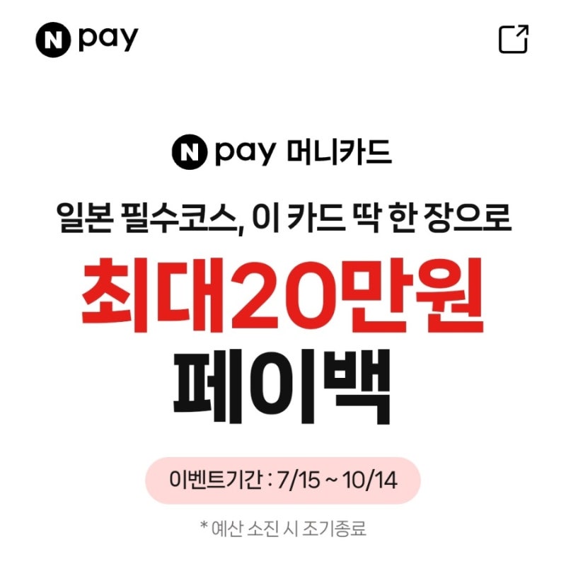 이게 다 해서 혜택이 얼마야?? 일본여행 할인 꿀팁! 네이버페이머니체크카드, 카카오페이 후....