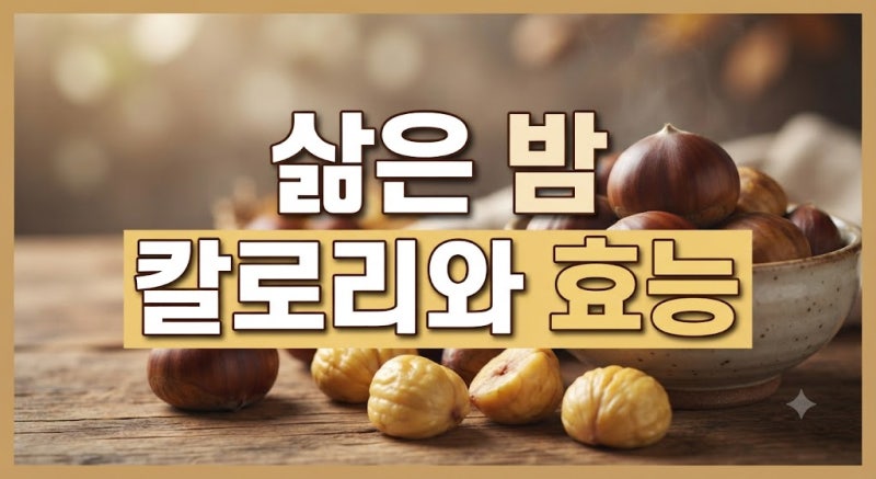 삶은밤 영양성분 효능 효과 부작용 당뇨 총정리(칼로리, 하루 섭취량, 살찔까? 보관 방법)