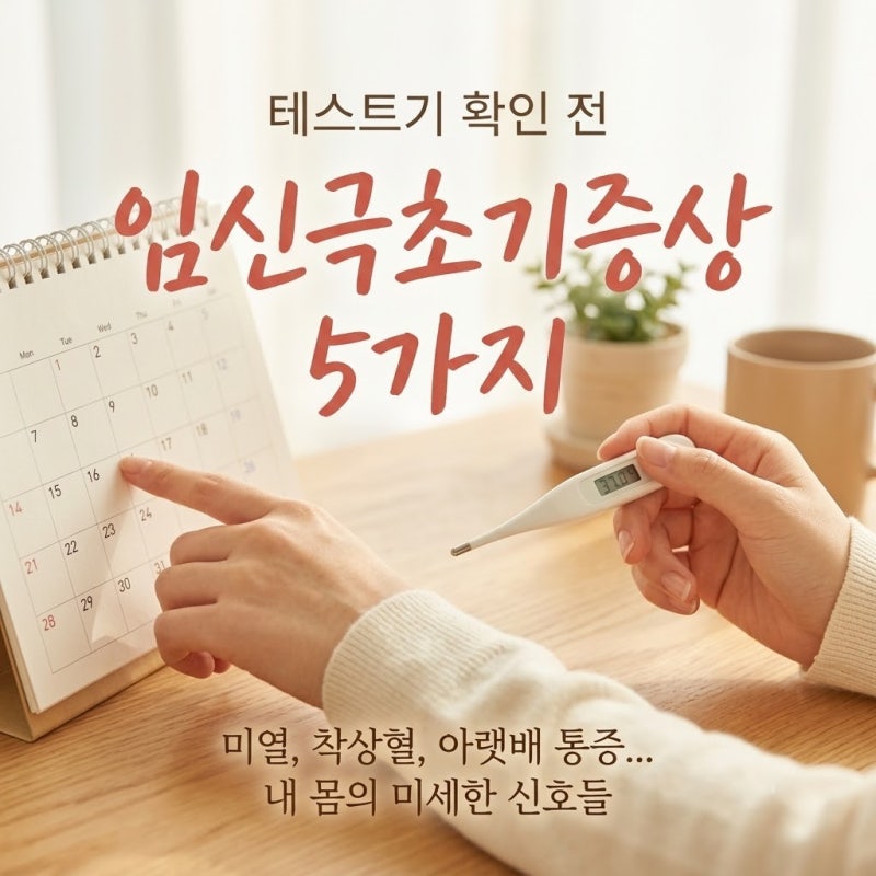임신극초기증상 테스트기 확인 전 나타나는 5가지