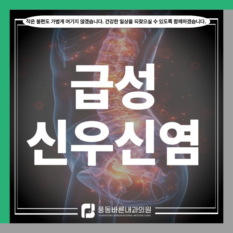 일산동구 풍동 내과, 급성신우신염, 갑자기 찾아오는 고열과 옆구리 통증 주의하세요