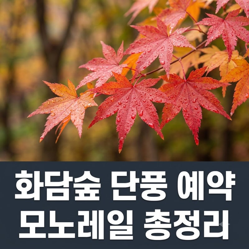 화담숲 가을 단풍 예약 방법과 모노레일 꿀팁 및 입장료 총정리