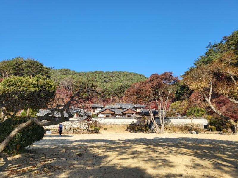 안동 아이와 함께 가을에 떠나기 좋은 고즈넉한 여행지, 안동 도산서원 단풍 산책